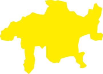 Polygon
