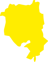 Polygon
