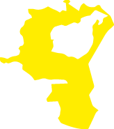 Polygon