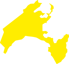 Polygon