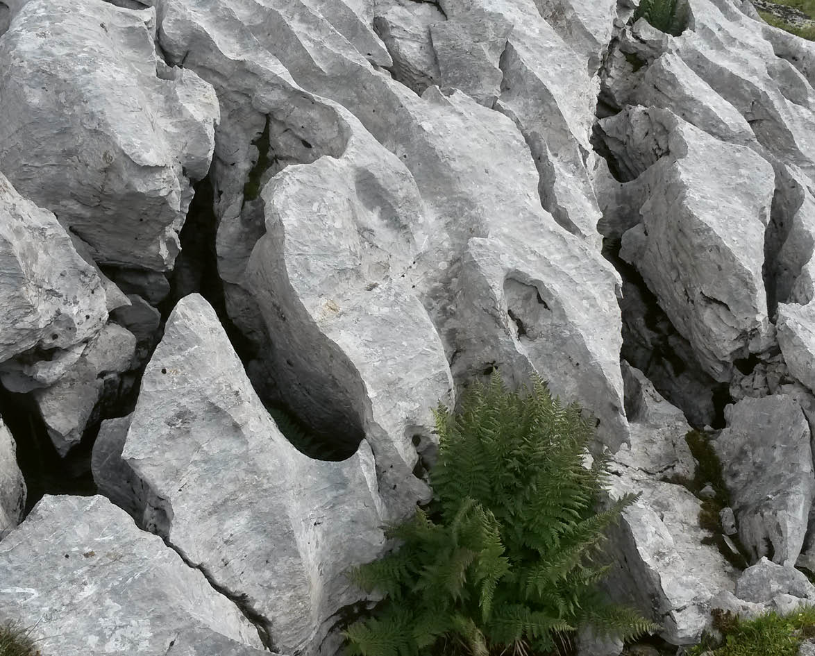 Rectangle