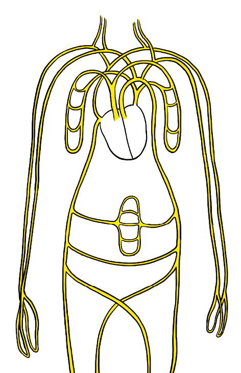 Rectangle