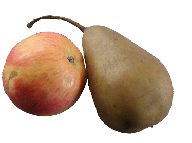 Oval
