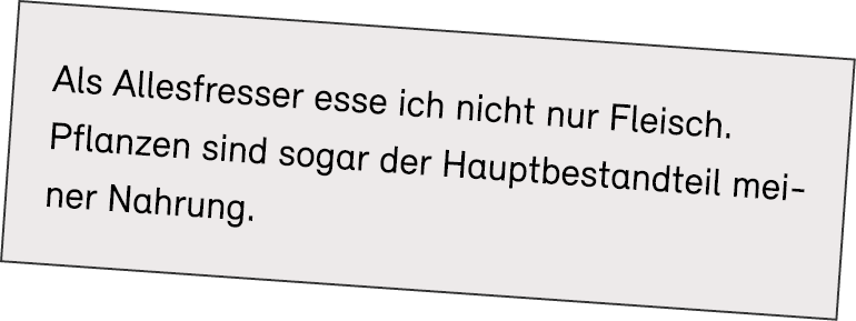 Als Allesfresser esse ich nicht nur Fleisch. Pflanzen sind sogar der Hauptbestandteil meiner Nahrung.