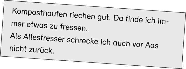 Komposthaufen riechen gut. Da finde ich immer etwas zu fressen. Als Allesfresser schrecke ich auch vor Aas nicht zur ck.