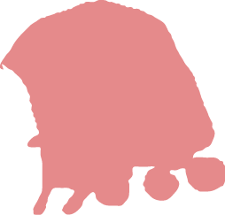 Polygon