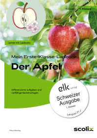 Mein Erste-Klasse-Lapbook: Der Apfel-670452-gruppe, 