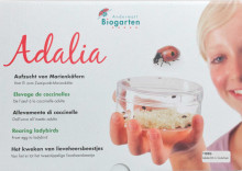 Adalia-0701, 