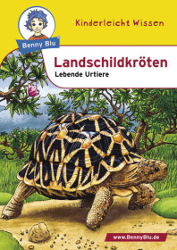 Benny Blu Landschildkröten-5238, 