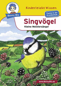 Benny Blu Singvögel-5265, 