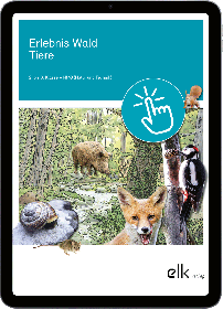 Erlebnis Wald – Digitales Schulwandbild-2814, 