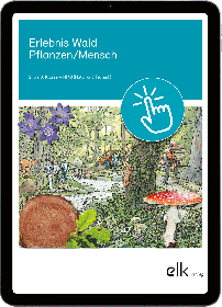 Erlebnis Wald – Digitales Schulwandbild-2798, 