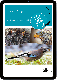 Unsere Vögel – Digitales Schulwandbild-1252, 